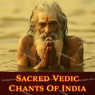 Sacred Vedic Chants Of India - Dr.R.Thiagarajan cover album