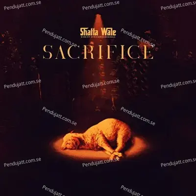 Sacrifice - Shatta Wale