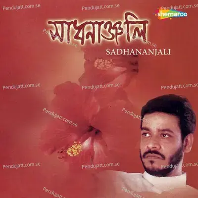 Ami Go Tomaari - Srikanto Acharya album cover 