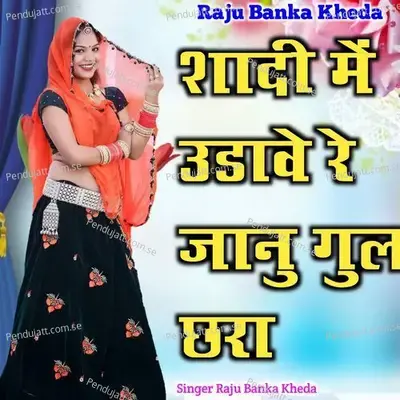 Sadhi Me Udawe Re Janu Ghul Chera - Raju Banka Kheda album cover 