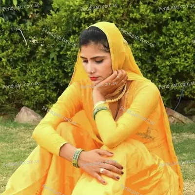 Sadi Kar Bulgi - Aslam Singer Mewati album cover 