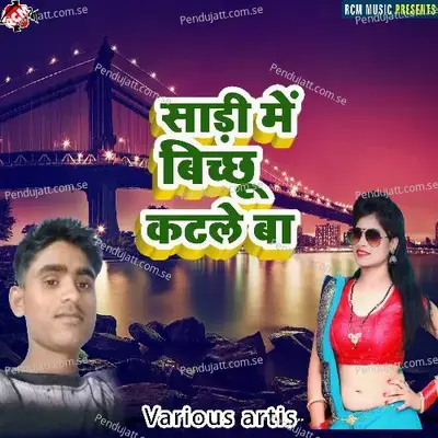 Sadi Me Bichhu Katale Ba - Anuj Deewana album cover 