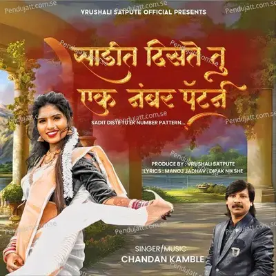 Sadit Disti Tu Ek Number Pattern - Chandan Kamble album cover 