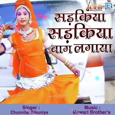 Sadkiya Sadkiya Baagh Lagayo - Chunnilal Bikuniya album cover 