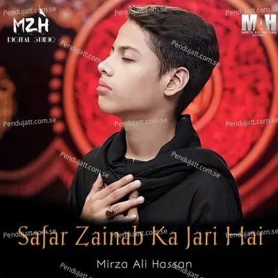 Kajawa Chand Ka Hai - Mirza Ali Hassan album cover 