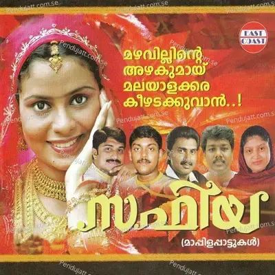 Pattu Kettu Ponnu - 1 - Viswanath album cover 