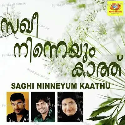 Ninde Sulthan - Salim Kodathur album cover 