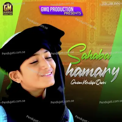 Sahaba Hamary - Ghulam Mustafa Qadri album cover 