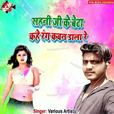 Dhan Bate Mai Ke Charaniya - Dinesh Patel album cover 