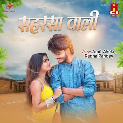 Rakhiyo Ae Le Gehan Jamana - Amit Akela album cover 