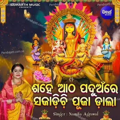 Sahe Aatha Paduanre Sajadichi Pujadala - Namita Agrawal album cover 