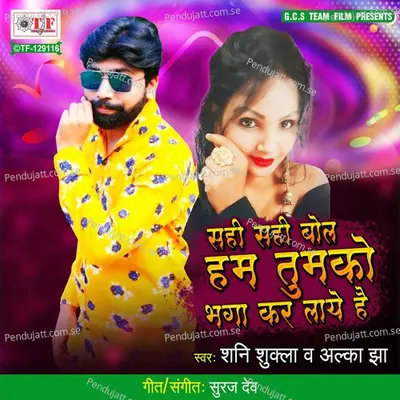 Ham Tum Ko Bhaga Ke Laye Hai - Shani Shukla album cover 