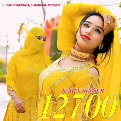 Sahin Singer 12700 - Sahin Mewati album cover 