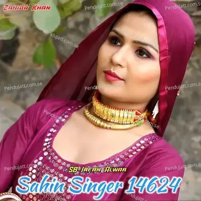 Sahin Singer 14624 - SB Irfan Alwar album cover 