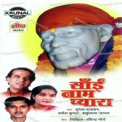 Sai Hai Kan Kan Me - Sarvesh Mishra album cover 