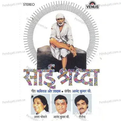 Ek Sawali Ne - Anand Kumar C. album cover 