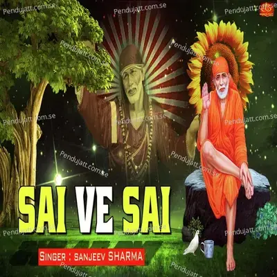 Sai Ve Sai - Sanjeev Sharma album cover 