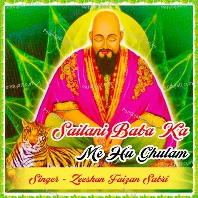 Sailani Baba Ka Me Hu Ghulam - Zeeshan Faizan Sabri album cover 