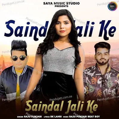 Saindal Jali Ke - Raju Punjabi album cover 