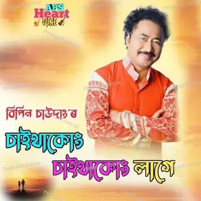 Saithakung Saithakung Lage - Bipin Chawdang album cover 