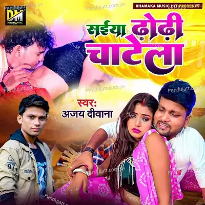 Saiya Dhodhi Chatela - Ajay Deewana album cover 