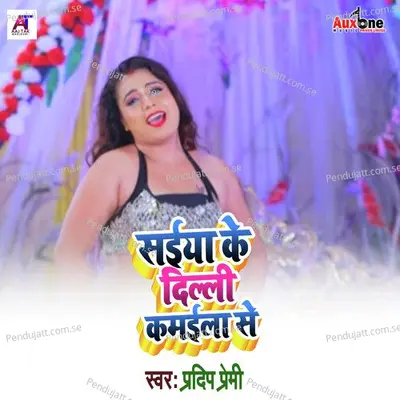 Saiya Ke Dilhi Kamila Se - Pradeep Premi album cover 