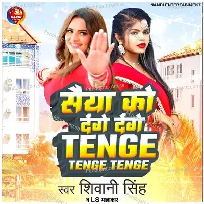 Saiya Ko Denge Denge Tenge Tenge Tenge - Shivani Singh album cover 