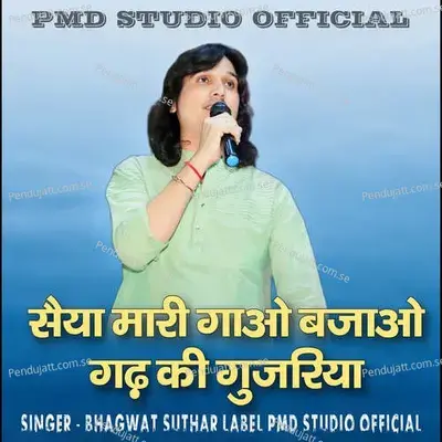 Saiya Mari Gao Bajao Gadh Ki Gujariya - Bhagwat Suthar album cover 