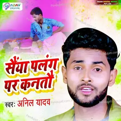 Saiya Palang Par Kantau - Anil Yadav album cover 