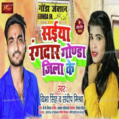 Saiya Rangdar Gonda Jila Ke - Vibha Singh album cover 