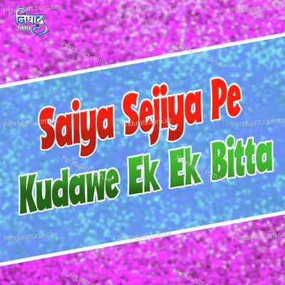 Saiya Sejiya Pe Kudawe Ek Ek Bitta - Raghav album cover 