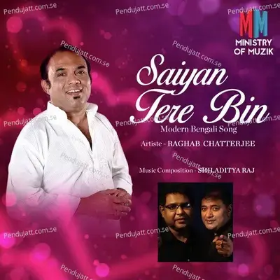 Saiyan Tere Bin - Raghab Chatterjee album cover 