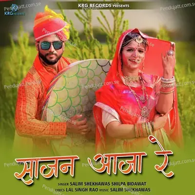 Sajan Aaja Ray - Salim Shekhawas album cover 