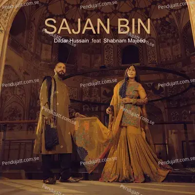 Sajan Bin - Dildar Hussain album cover 