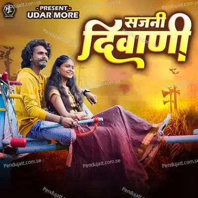 Sajani Diwani - Bhaiya More album cover 