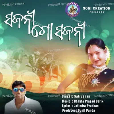 Sajani Go Sajani - Satrughan album cover 