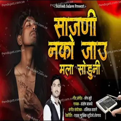 Sajani Nako Jau Mala Soduni - Santosh Salve album cover 