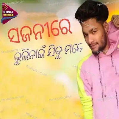 Sajanire Bhuli Nai Jibu Mate - Gautam Hial