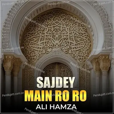 Sajdey Main Ro Ro - Ali Hamza album cover 
