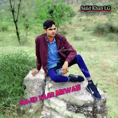 Sajid Yaar Mewati - Sajid Khan album cover 