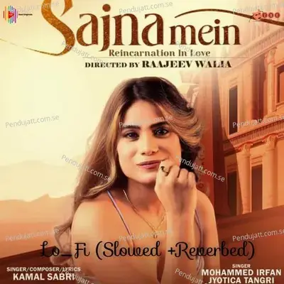 Sajna Mein Lo_Fi - Mohammed Irfan album cover 