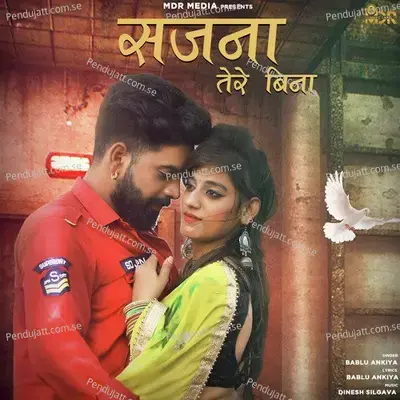 Sajna Tere Bina - Bablu Ankiya album cover 