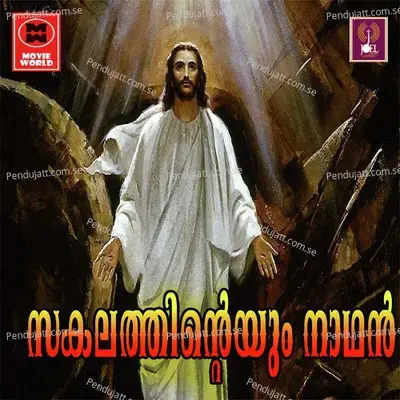 Snehathin Kulir Mazha - Midhila Michael album cover 