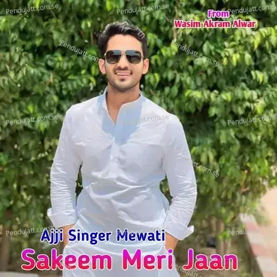 Sakeem Meri Jaan - Ajji Singer Mewati album cover 