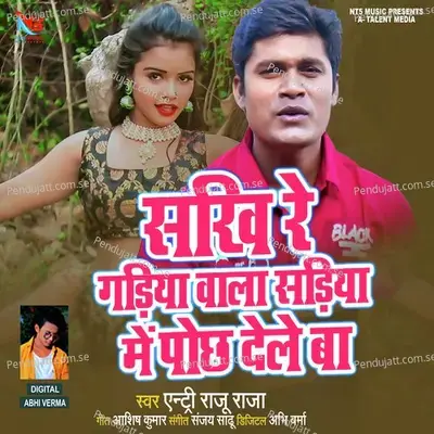 Sakhi Re Gadhiya Wala Sadhiya Me Pochh Dele Ba - Entry Raju Raja album cover 