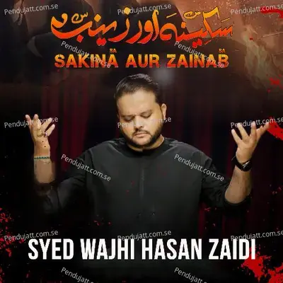 Sakina Aur Zainab - Syed Wajhi Hasan Zaidi album cover 