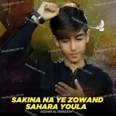 Sakina Na Ye Zowand Sahara Youla - Asghar Ali Bangash album cover 