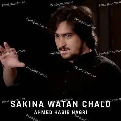 Sakina Watan Chalo - Ahmed Habib Nagri album cover 