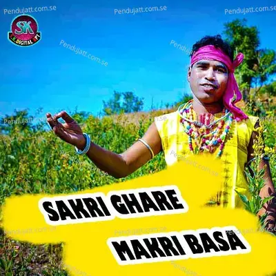 Sakri Ghare Makri Basa - Nilanchala Pan album cover 