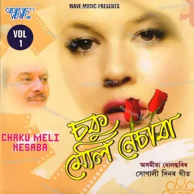 Aahashun Aaha - Ridip Dutta album cover 